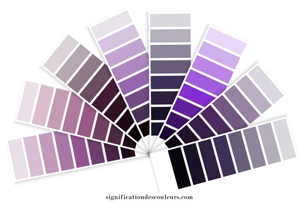 La Couleur Mauve Est Une Couleur Moderne Multiusage Et Délicate